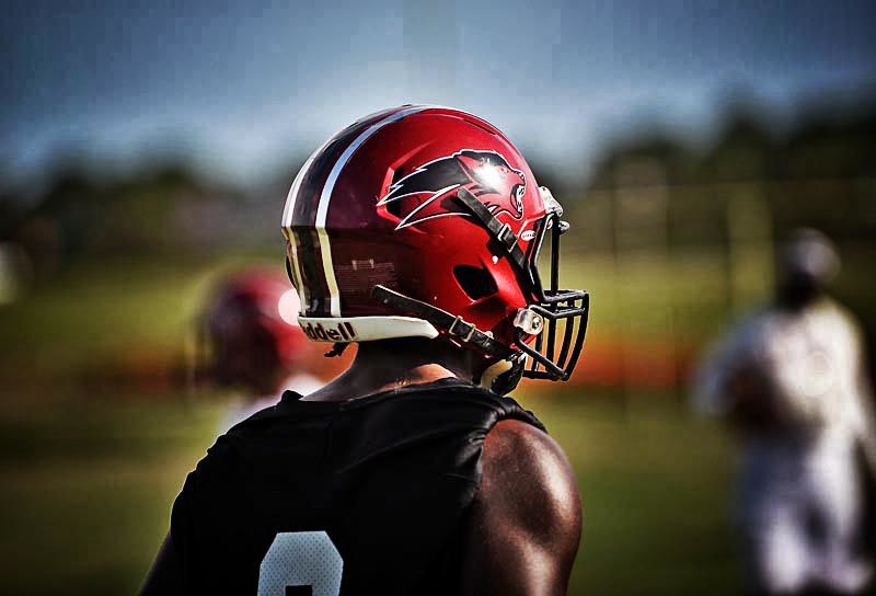 Dothan High Wolves begin football practice